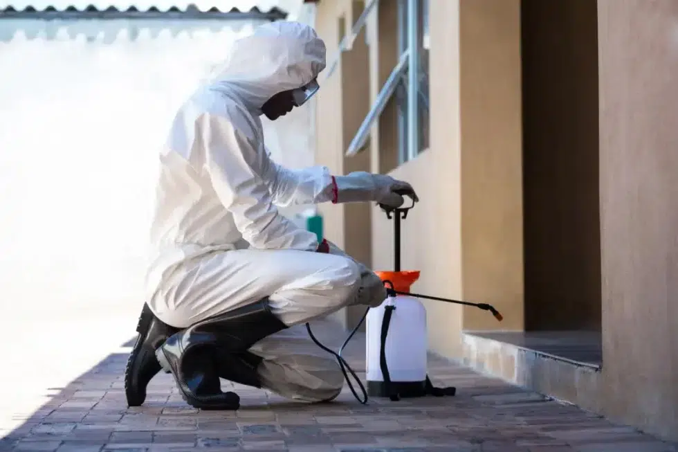 pest control services gold coast