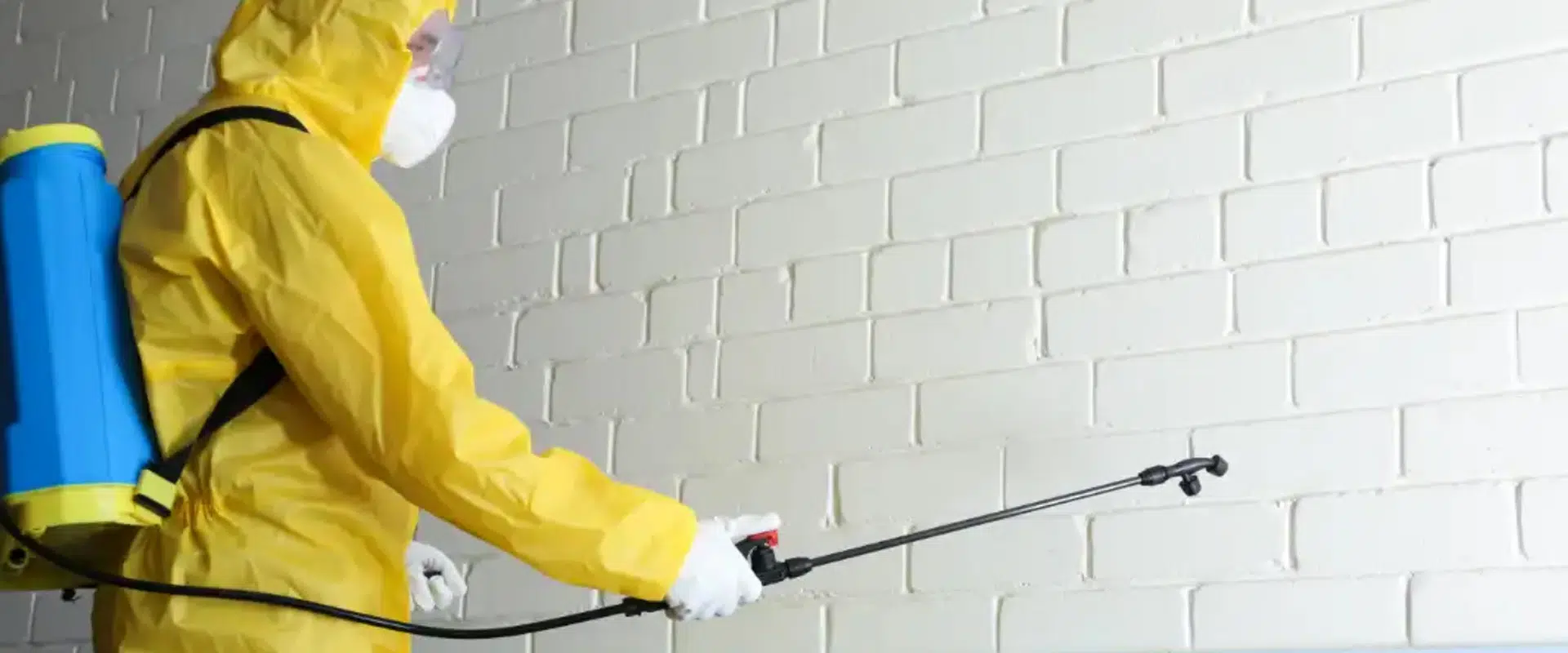 Pest Control Hope Island