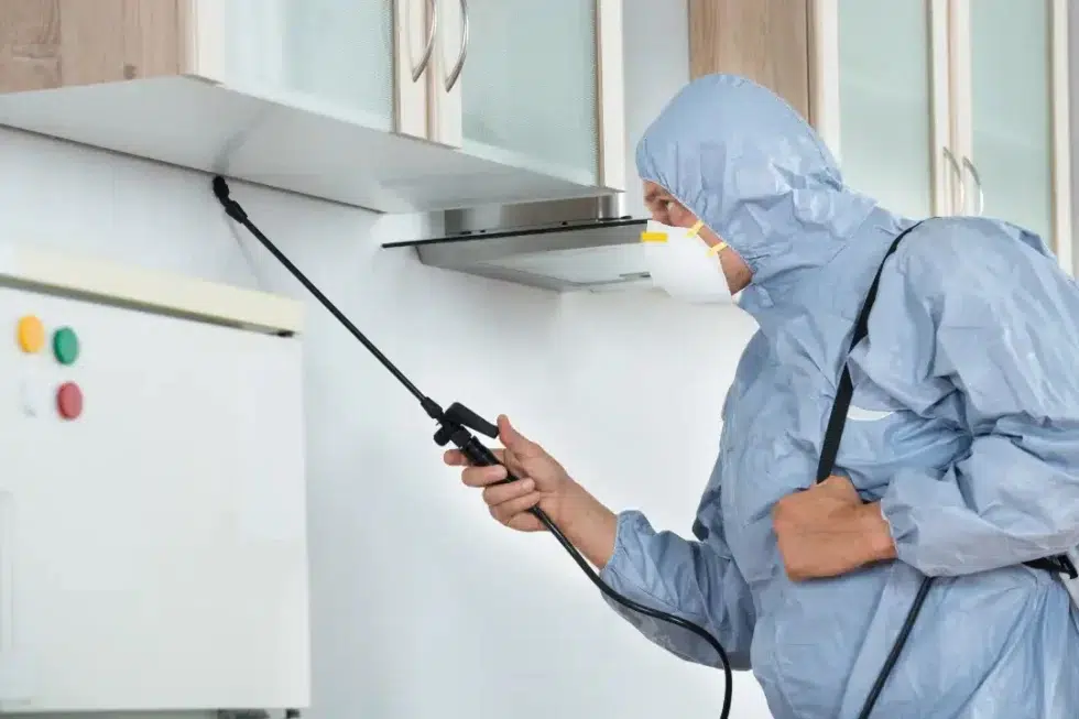 Pest Control Oxenford
