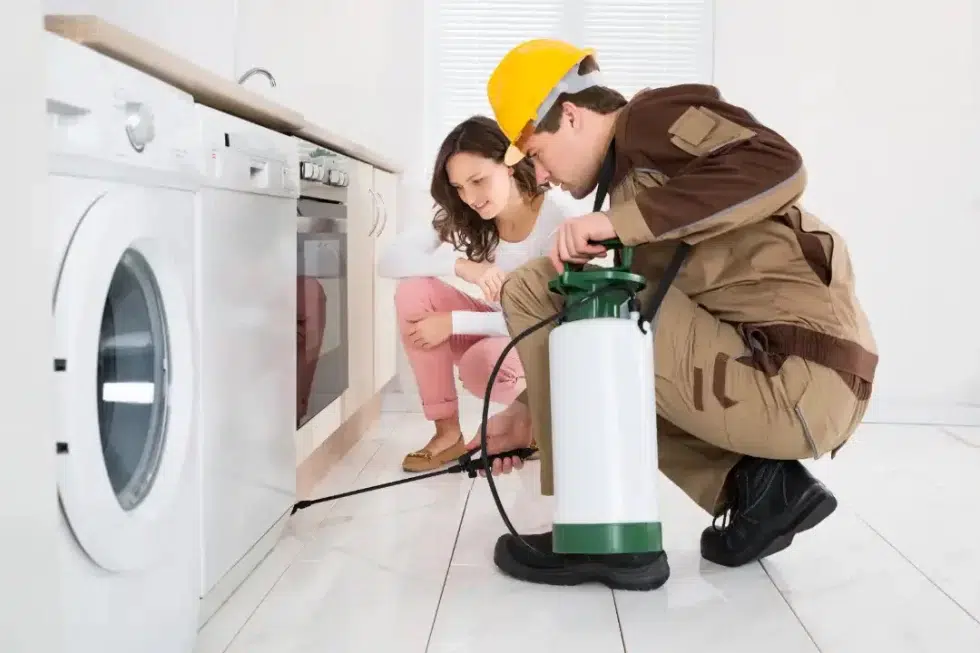 Pest Control Coomera