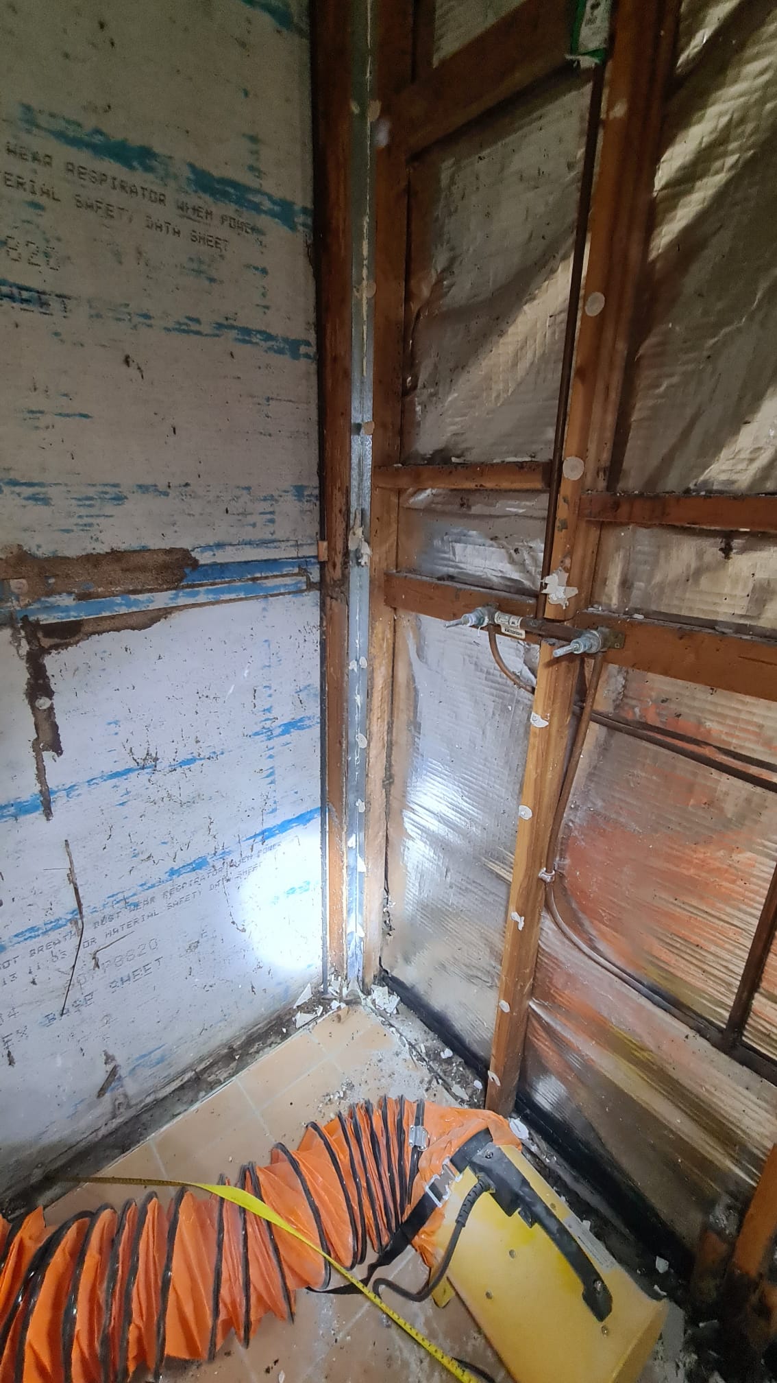 Termite damage in wall in a gold coast property