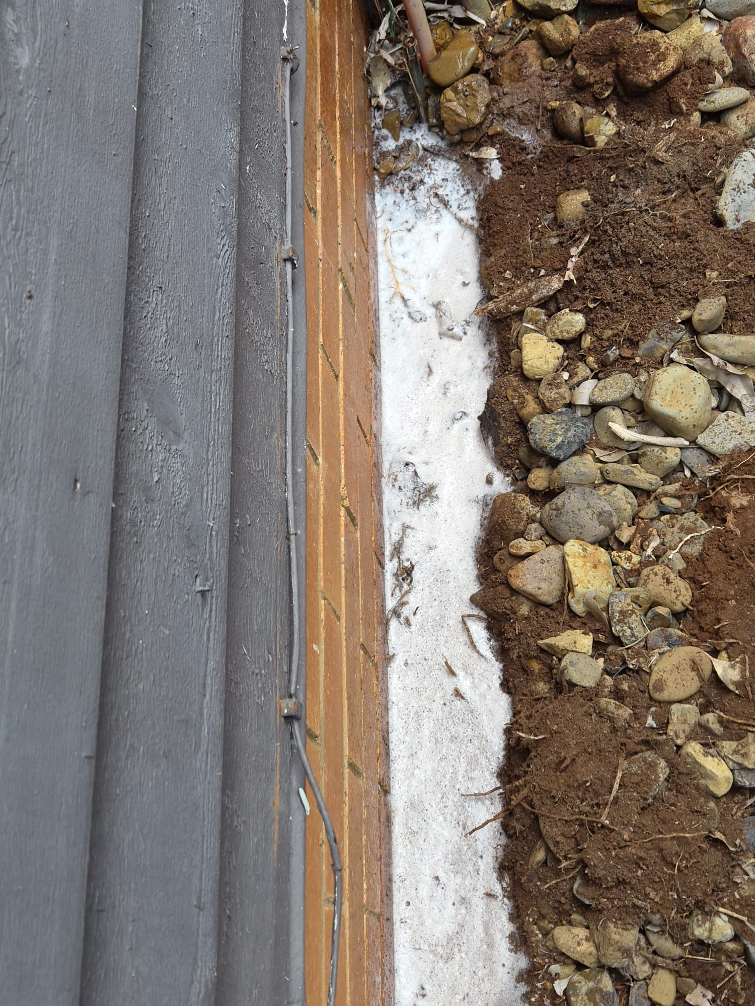 Termite Treatment Gold coast